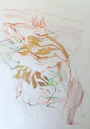 Drawn To Nature 2 von Magdalena Morey