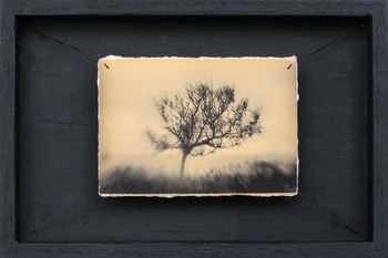 Doggerland 42 von Mark Tamer