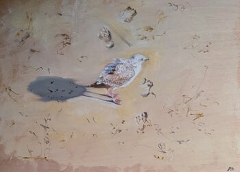 Paths cross by Rosemary Burn