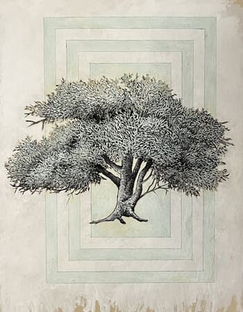 Portrait d’arbre par Cyrille Borgnet Dupont