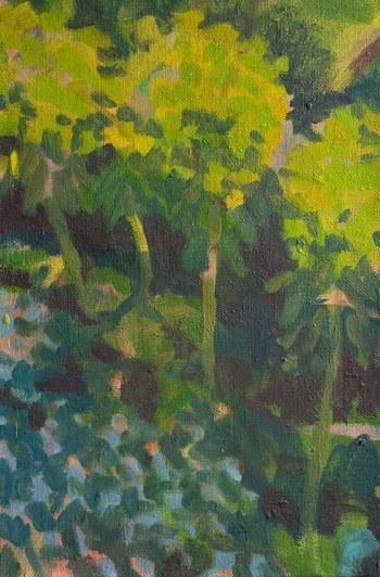 Sunlight at Charleston by Caroline Cornelius