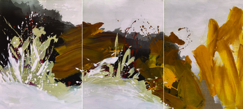 Waking volcano par Diane de Cicco