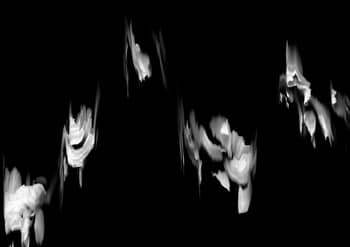 57 Floral Ballet: the dance of impermanence par Bruno Houdayer