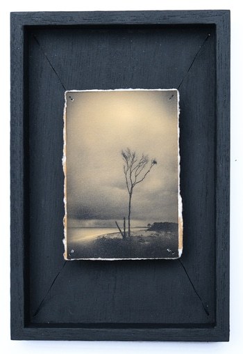 Doggerland 46 von Mark Tamer