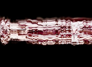 9 Floral Ballet: the dance of impermanence - scanography par Bruno Houdayer