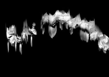 58 Floral Ballet: the dance of impermanence by Bruno Houdayer
