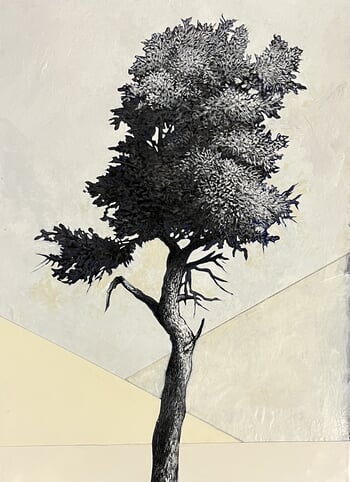 Portrait d’arbre by Cyrille Borgnet Dupont