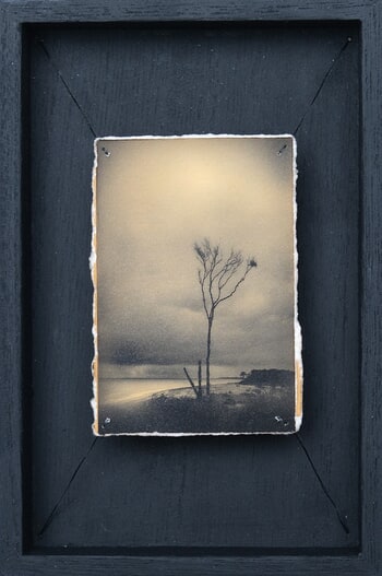 Doggerland 46 by Mark Tamer