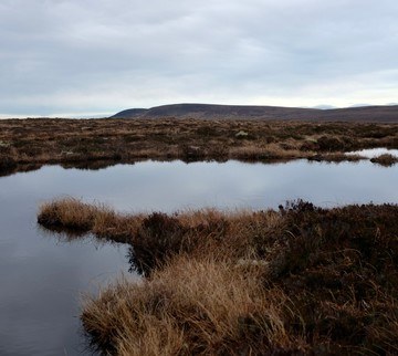 The Sublime and The Structural: Fred Ingrams’ Landscape Paintings