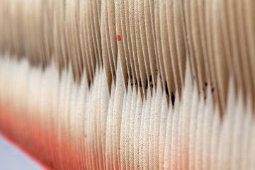 Off The Hook with Piers Bourke