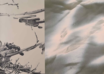 Euphrosyne Andrews and Daniel Fletcher: Blurring Boundaries and Authorship