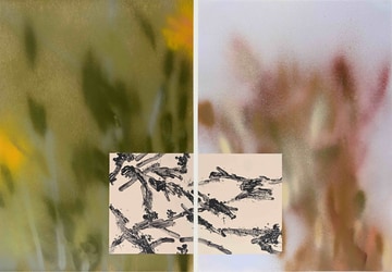 Euphrosyne Andrews and Daniel Fletcher: Blurring Boundaries and Authorship