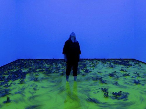 9 Künstler im Kampf gegen den Klimawandel