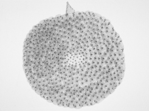 Qu'est-ce que l'art abstrait minimaliste ?