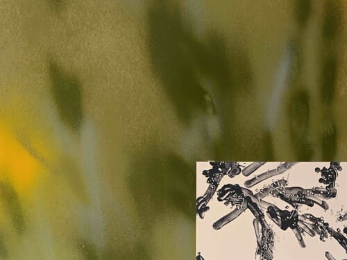 Euphrosyne Andrews et Daniel Fletcher : l'art de peindre à quatre mains