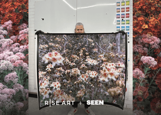 Rise Art + Seen: Casey Moore