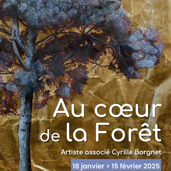 Au cœur de la forêt