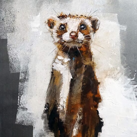 Galerie Ephémère Marque avenue Corbeil Essonnes