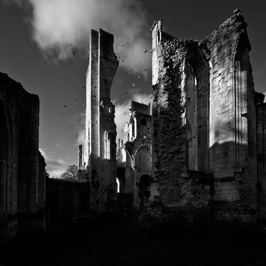 Architecture Interpreted