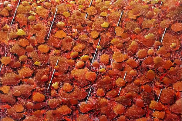 Herbstliche Kunstwerke