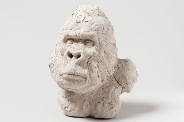 Sculptures de primates