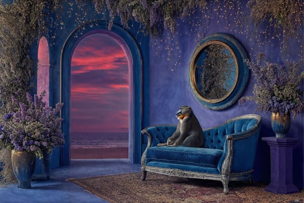 Das Beste in der Fotografie