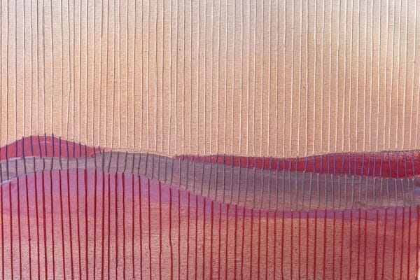 Monthly Top Picks: Best of December