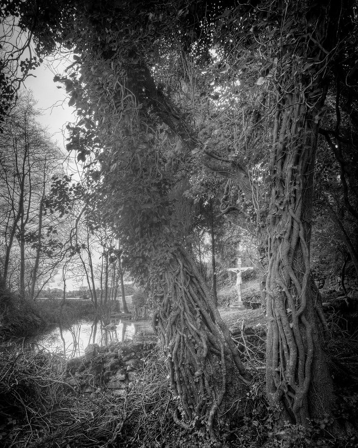 Flooded Grotto par Geoffrey Ansel Agrons