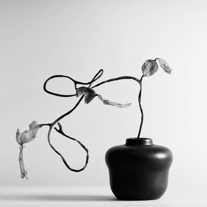 Still Life with Sea Form by Geoffrey Ansel Agrons