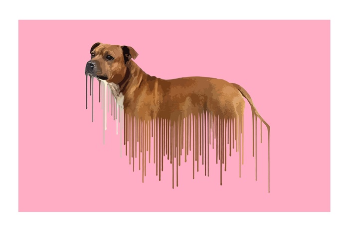 Staffie - Pink von Carl Moore