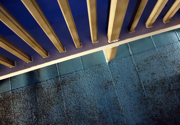 Catalina Ferry by Reed Hearne