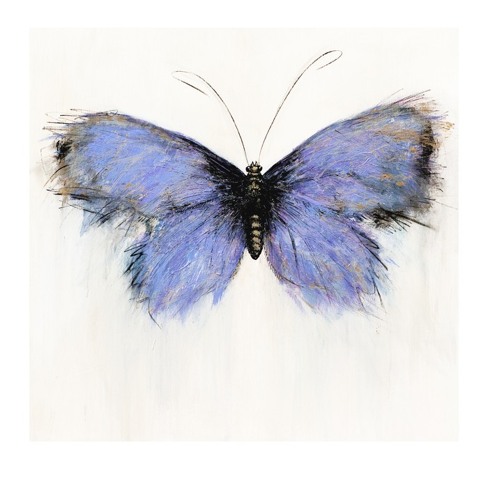 Violet Butterfly  par Marion McConaghie