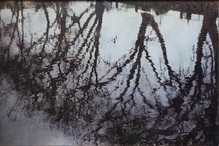 Reflections Hampstead Heath II by Marianne Nix