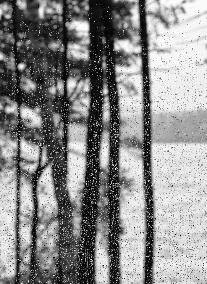 Chatter by Geoffrey Ansel Agrons