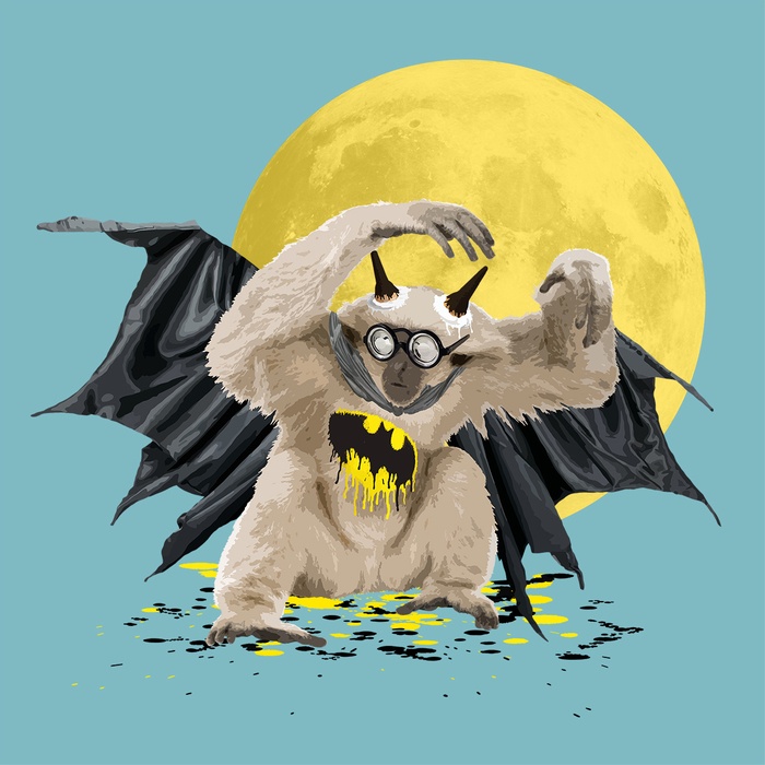 The Gibbon Who Wanted to be Batman by Carl Moore