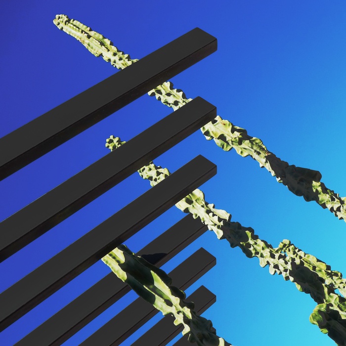 Crossed Purposes par Reed Hearne