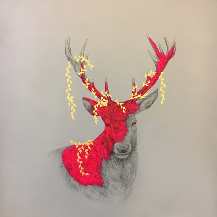 Wild Heritage von Louise McNaught
