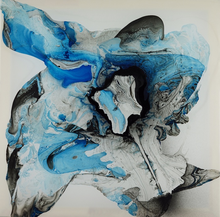 Take the Plunge by Fintan Whelan