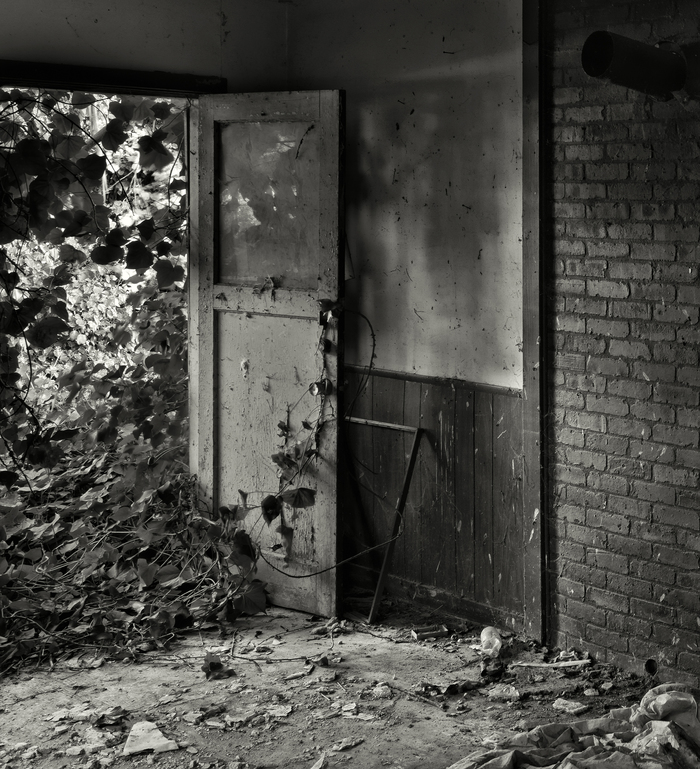Let the Right One In by Geoffrey Ansel Agrons