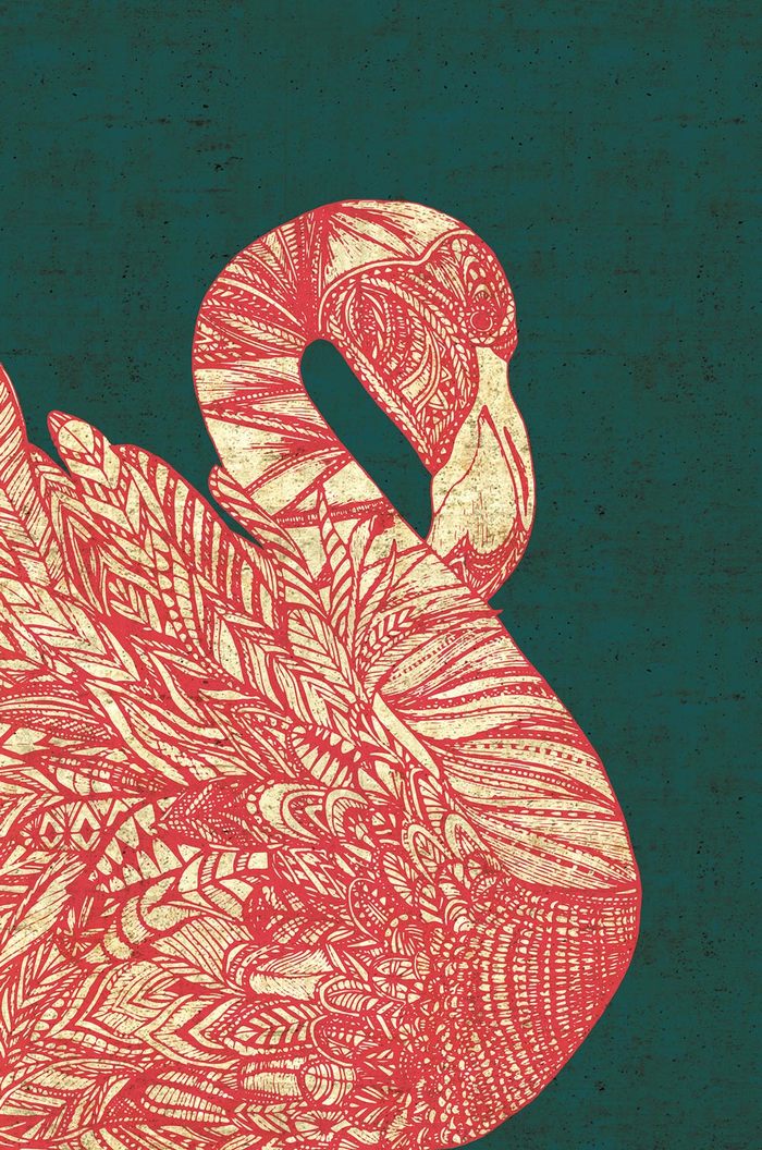 Pink Flamingo par Ellie Vandoorne