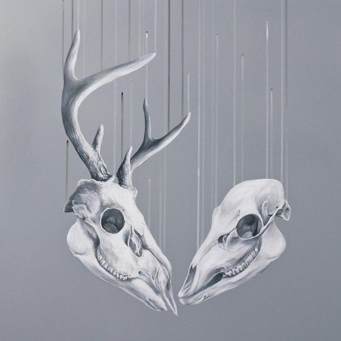 We Will Meet Again (Capreolus Capreolus) par Louise McNaught