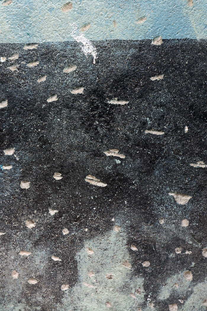 Aguacate Cuba - 3 of 10 Limited Edition. par Gina Parr