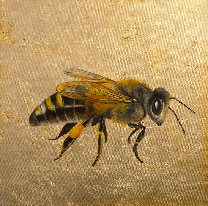 Alchemy von Louise McNaught