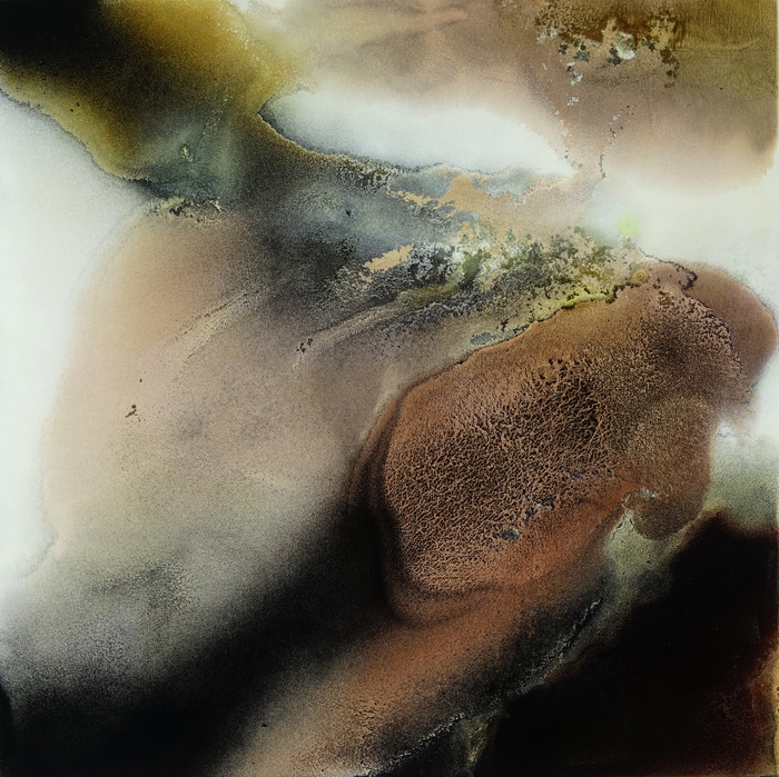 Earth Skin par Fintan Whelan