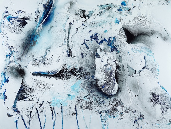 Shadow of Silence von Fintan Whelan