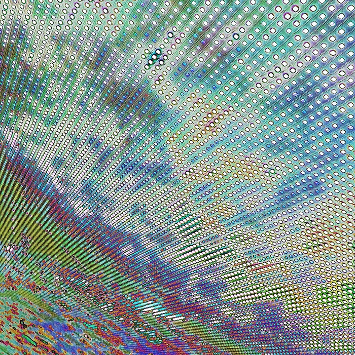 It Keeps Exploding Every Morning When We Rise. by Reed Hearne