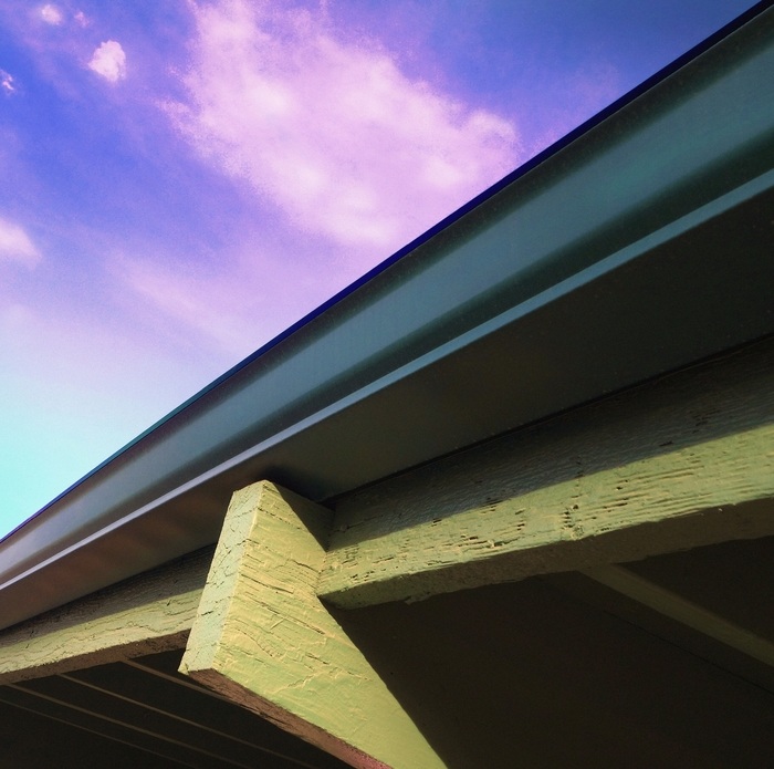 Zoom! von Reed Hearne