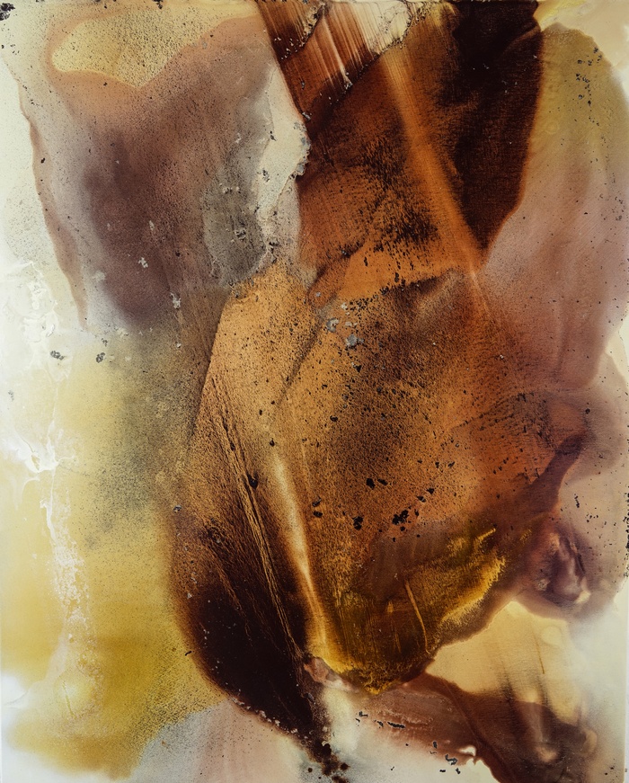 Splendour par Fintan Whelan