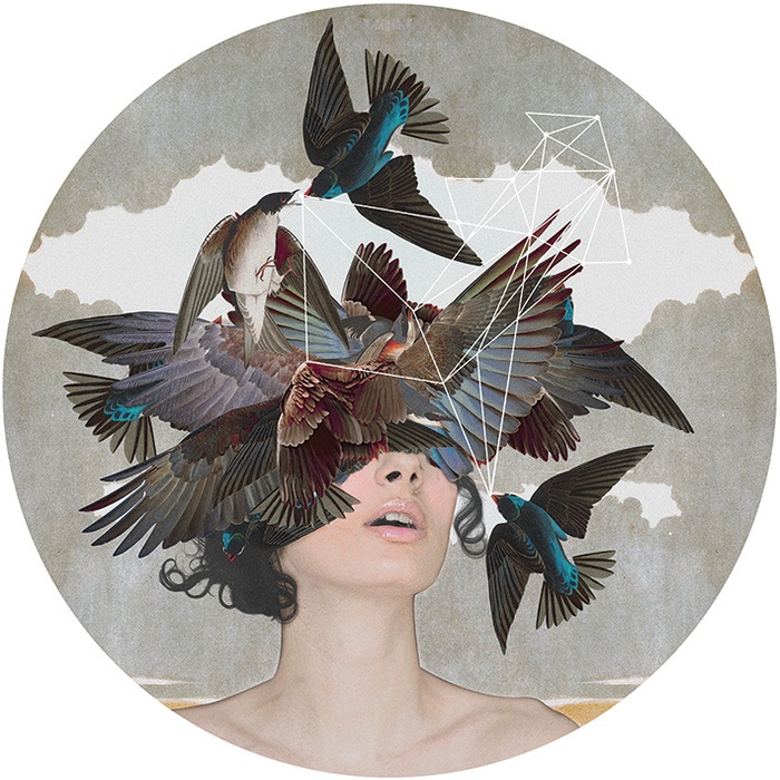 Swallow Blind par Alexandra Gallagher