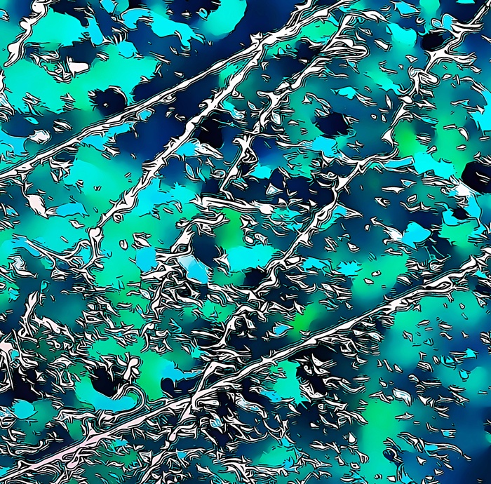 Sekizan Flurries by Reed Hearne